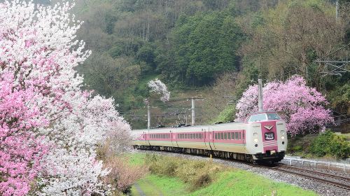 [Official Ticket]JR PASS Tottori-Matsue Area Rail Pass 3 Days (e-ticket) Transport Passes