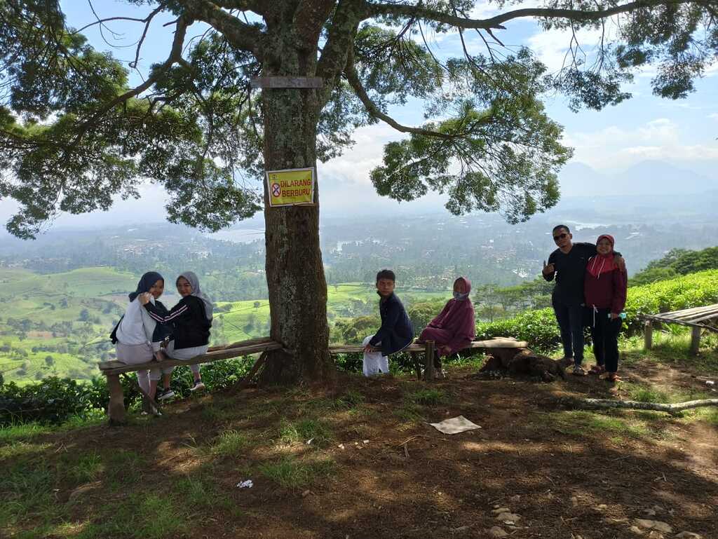 Fun Offroad Pangalengan Bandung – Land Rover Pine Forest Adventure