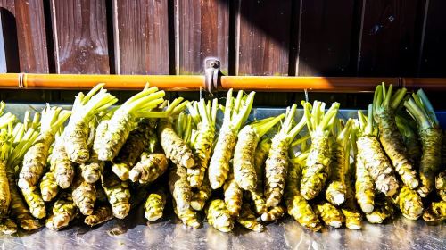 Matsumoto Everything: Castle, Miso, Wasabi, Wine & Ukiyo-e Day Tours