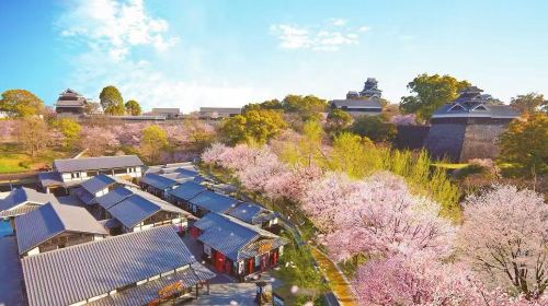 Kumamoto Castle Day Tours