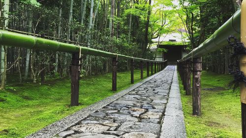 Hidden Kyoto E-Biking tour Day Tours