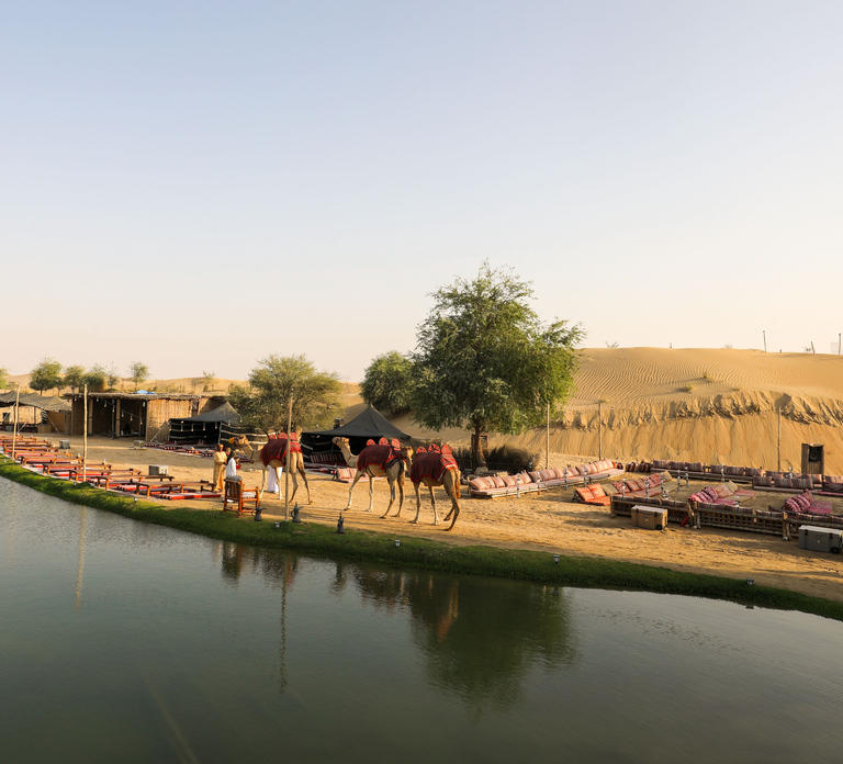 Dubai: Al Marmoom and Al Qudra Lakes Guided Tour with Dinner