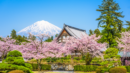 Mount Fuji Seven Views Instagram Hotspots, Viral Lawson, Oishi Park at Lake Kawaguchi 1-day Tour Day Tours