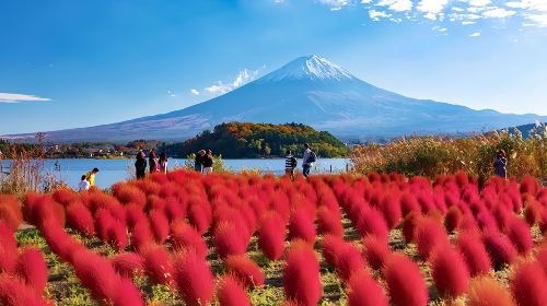 Japan Tokyo Mt. Fuji Lake Kawaguchi & Yamanakako & Lawson/Hikkawa one-day tour|Internet celebrity panoramic check-in Day Tours