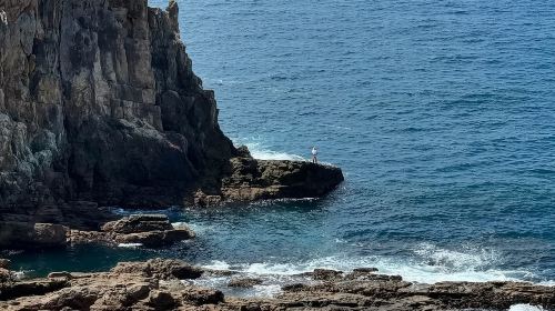 1-day tour to Nanki Shirahama + Wakayama cat station master Kishi train + Senjojiki + Sandanbeki cliffs