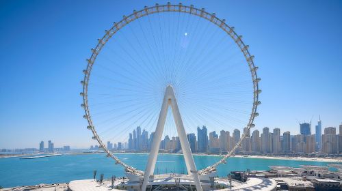 Half Day Dubai city tour with Gold & Spice Souk Day Tours