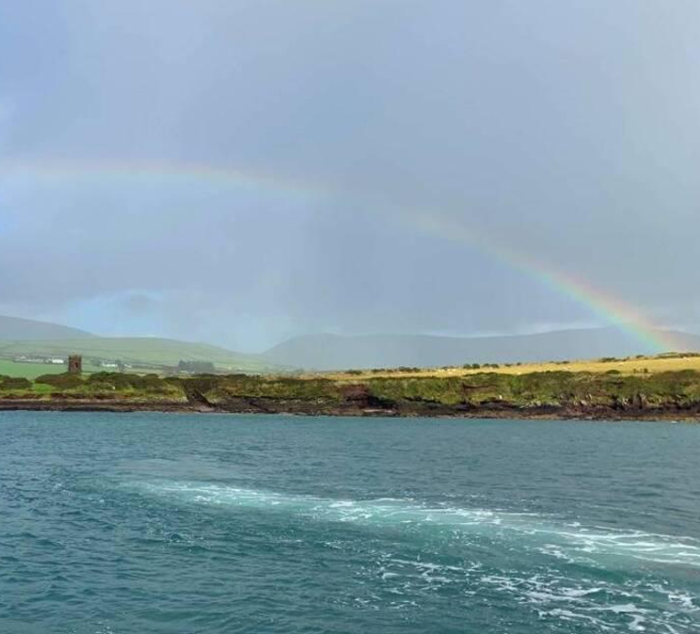Dingle: Dingle Bay Cliffs Boat Tour with Guide (1 Hour)