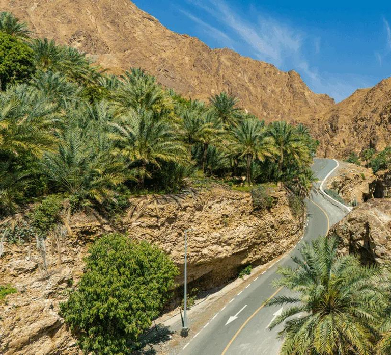 Sharjah: Private City Highlights Tour with Hotel Pickup
