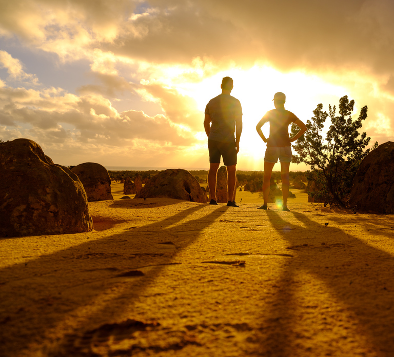 From Perth: Pinnacles Sunset and Stargazing Tour with Dinner