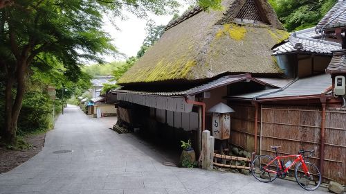 Kyoto:Quiet Arashiyama and Sagano Temples Day Tours