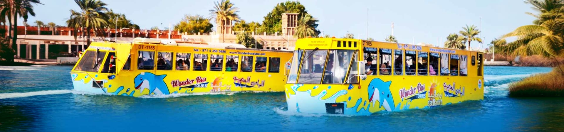 Wonder Bus Sea and Land Adventure Tours