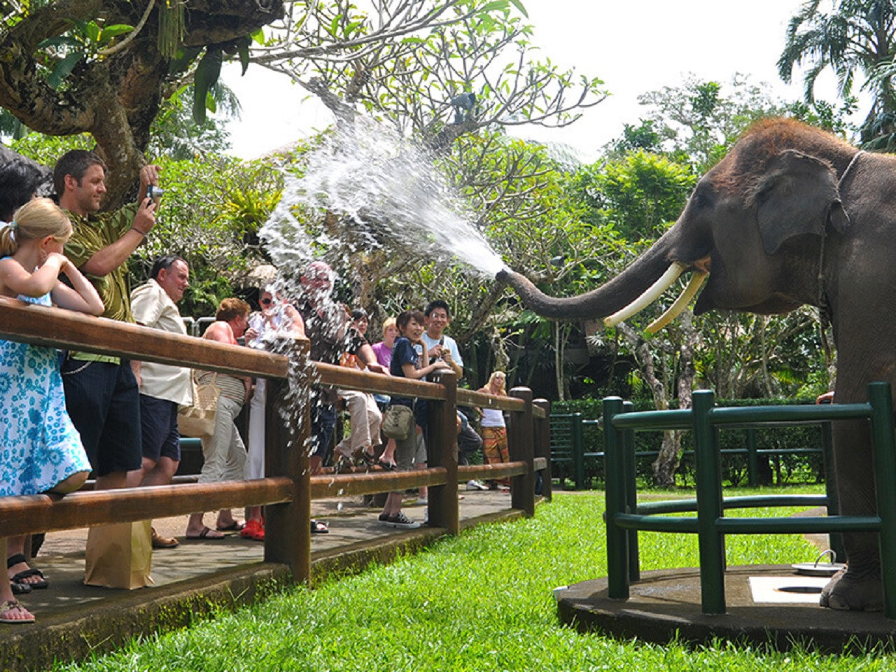 Safari Ride Tour