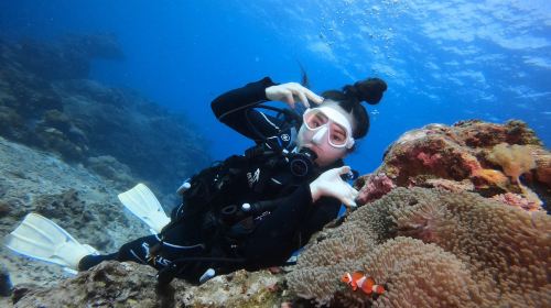 Experience diving diving in Green Island Township, Taitung for 0.5 hours [Green Island Decompression Chamber Scuba diving Experience]