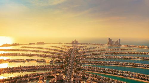 The View at the Palm Day Tours