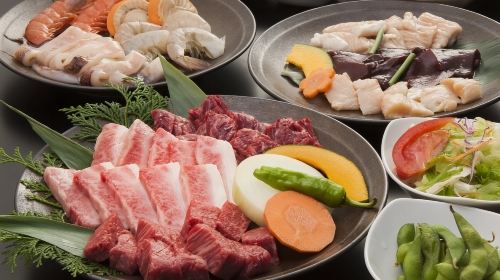 Osaka Shinsaibashi | All-You-Can-Eat BBQ | Wagyu Beef Yakiniku Kaido