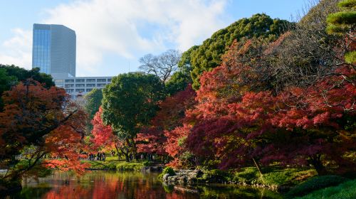 Koishikawa Korakuen Garden