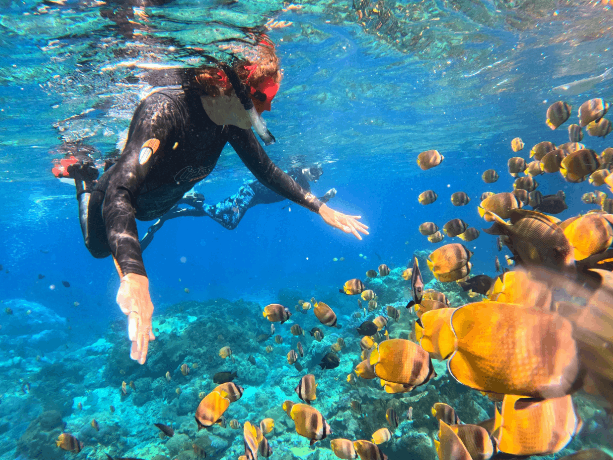Watersport & Nusa Penida Tours Packages