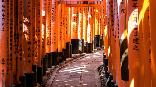 1-day tour to Kyoto, Nara and Uji – Nara Park, Byodoin Temple