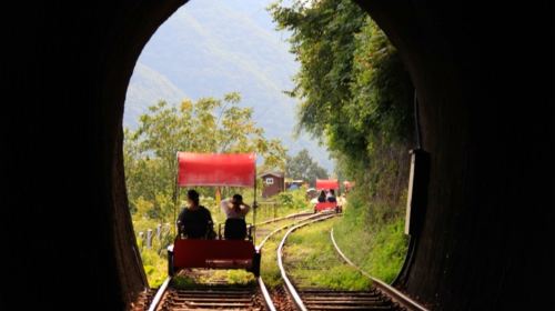 Gyeonggi Province|1-day tour to Gangchon Rail Park + Alpaca World Day Tours