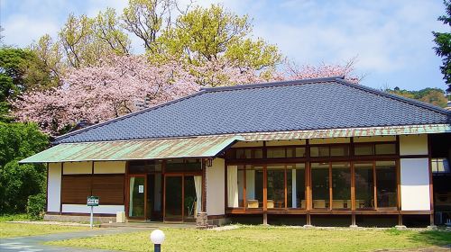 Shizuoka Izu Art Experience - Sakura Slope