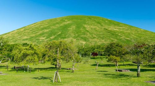 Tokyo Izu Mt. Omuro + Jogasaki Coast: 1-day tour to the filming location of "Your Name" and enjoy sea views Day Tours