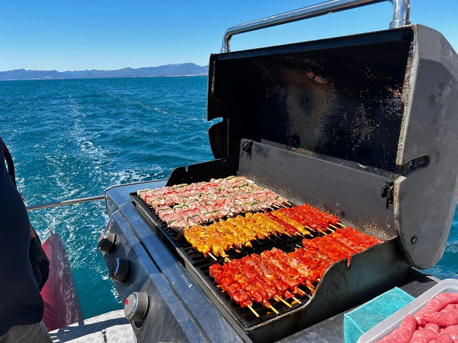 Catamaran Day Cruise with Barbecue Lunch and Drinks