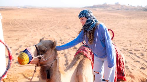 Self-Arrival Desert Safari with Falcon Photo Day Tours