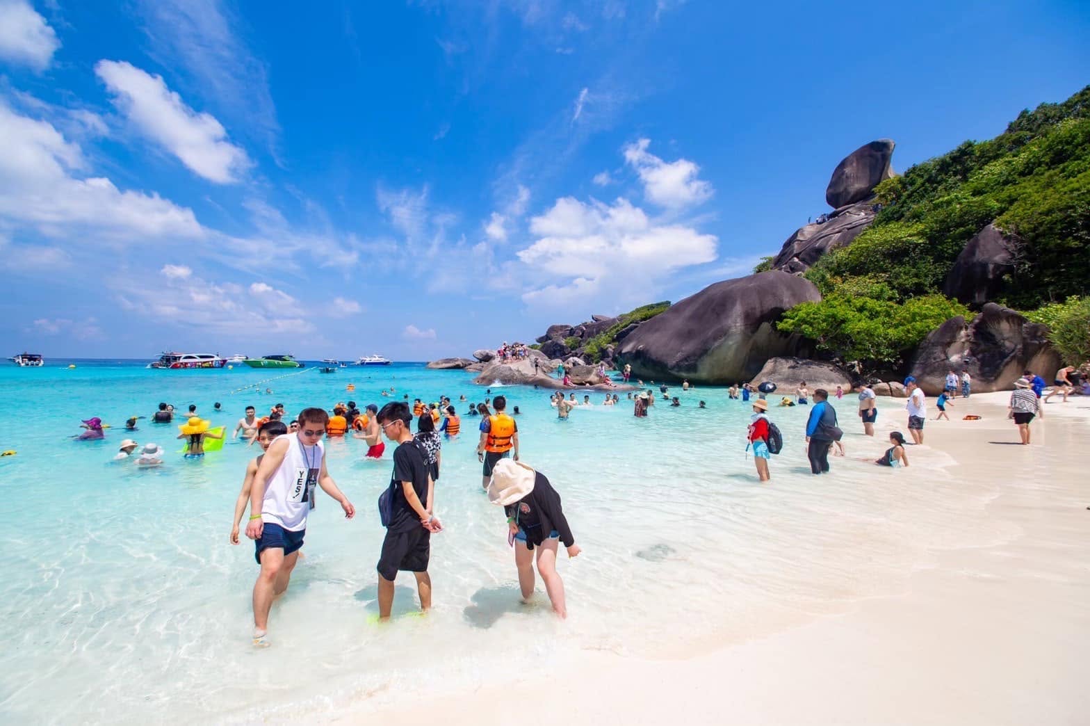 Join Tour Similan One Day Trip (Speedboat)