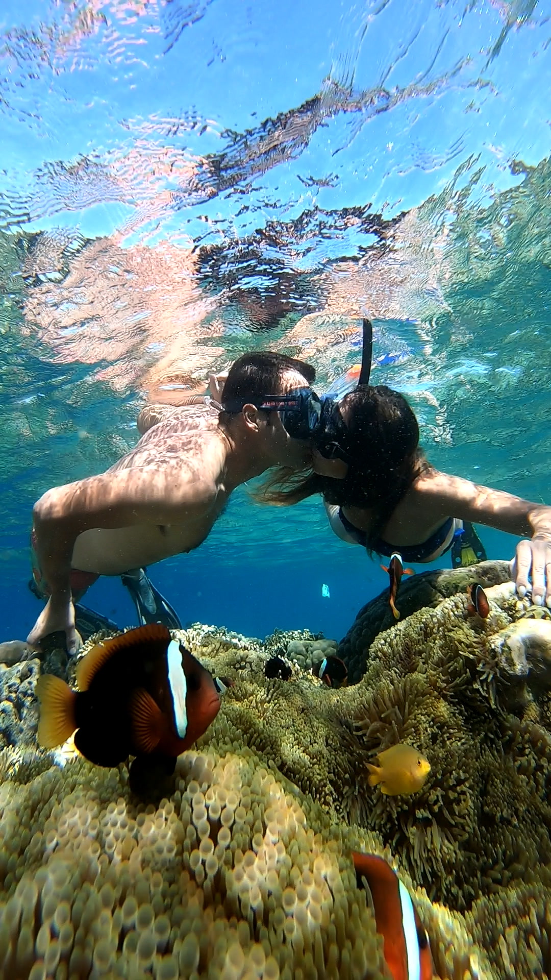 Secrate Island Private Snorkling Tour in lombok with go pro