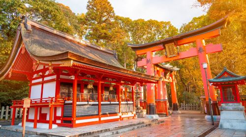 Kyoto & Nara 7 Major Spots Highlights Day Tour
