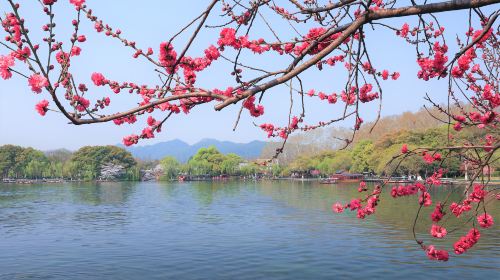 Enduring Memories of Hangzhou Show