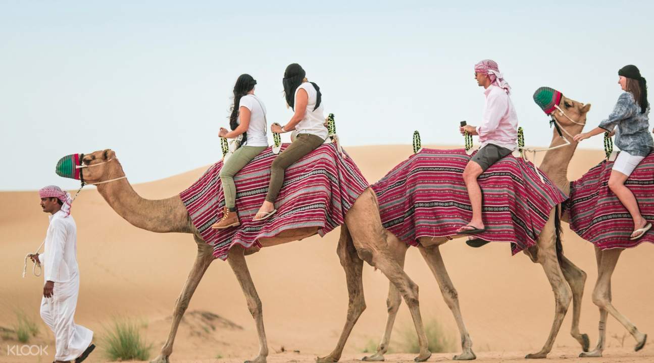 Desert Safari Experience with Bab Al Shams Dinner