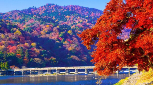 Kyoto Arashiyama Sagano Romantic Train Car No. 5 booking service