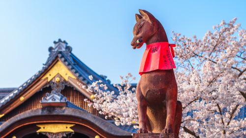 Kyoto Kiyomizu-dera Temple + Uji Byodo-in Temple 1-day tour Day Tours