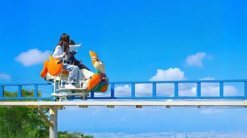 Osaka Departure: Hirakata Park + Nara Deer Feeding Fun Day Tour, Mount Wakakusa, Nara Park Day Tours