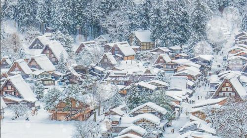 Nagoya + Shirakawa-go 1-Day Tour [Romantic Illumination in Shirakawa-go]|Hida Takayama|Optional for 9 people Day Tours