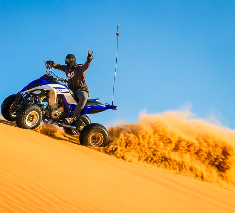 Dubai: Safari, Quad Bike, Camel Ride, and Buffet Dinner