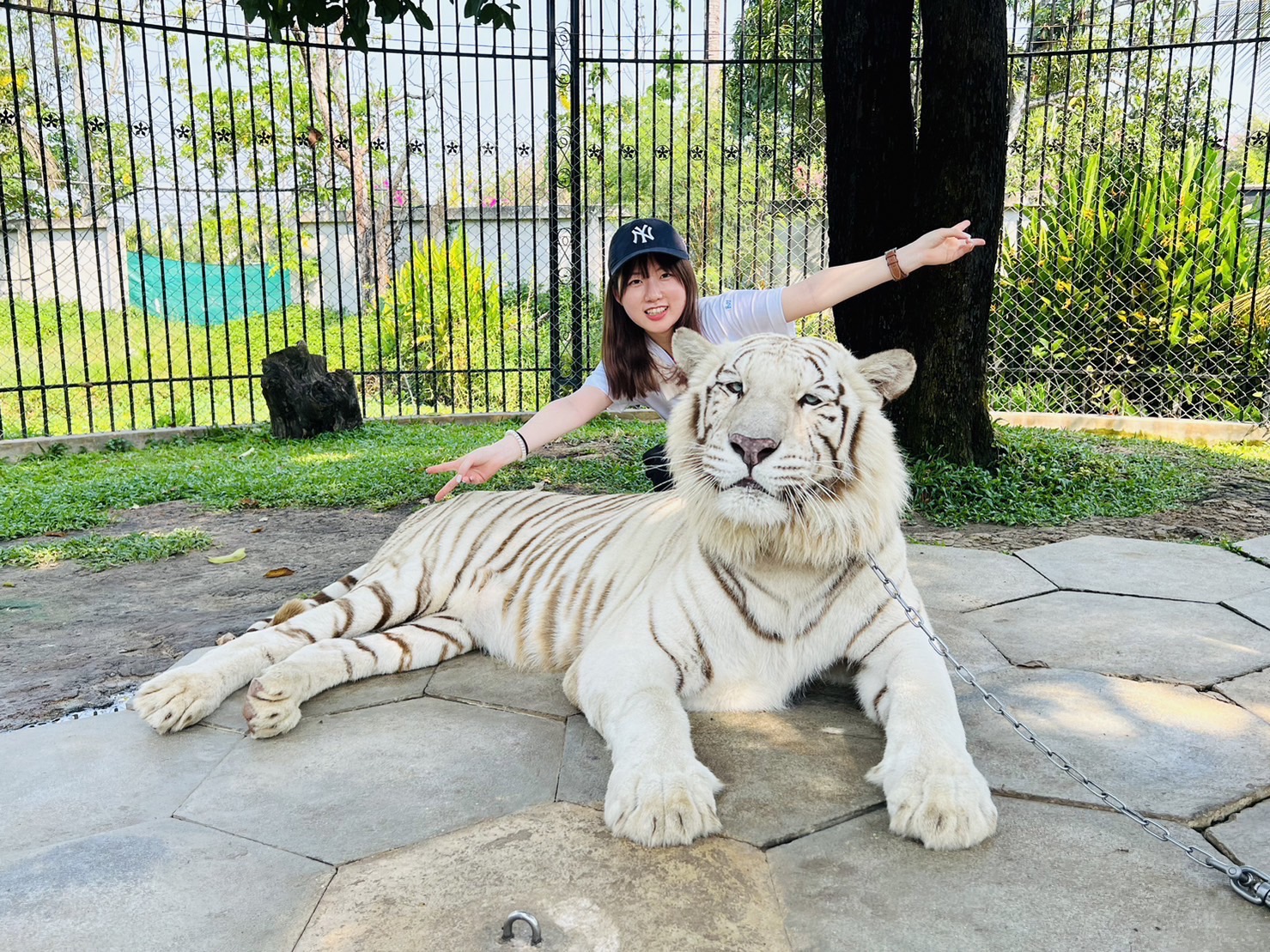 Chang Puak Camp Damnoen Saduak (Single Activity Tickets (A la carte))