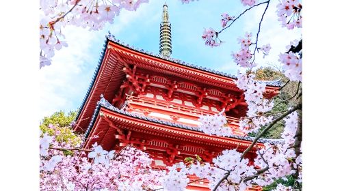 A day trip to Kyoto's ancient architecture, Nara Park with adorable deer, and Fushimi Inari Shrine