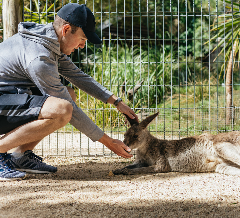 From Sydney: Blue Mountains Full-Day Trip