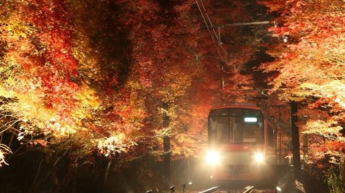 [Official Ticket] Kyoto Eizan Railway One-Day Pass Ee Kippu Transport Passes