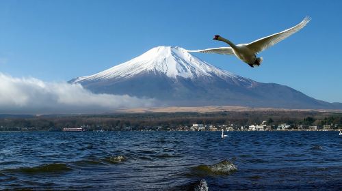 Solo friendly 1-day tour from Tokyo to Mount Fuji – outlet shopping