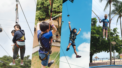 Mega Adventure - Singapore MegaZip (Daytime Flight) + Sentosa Express (Island Admission) (Standard)