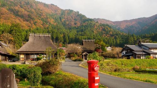 Kyoto Amanohashidate 1-Day Tour from Osaka with Lunch Day Tours