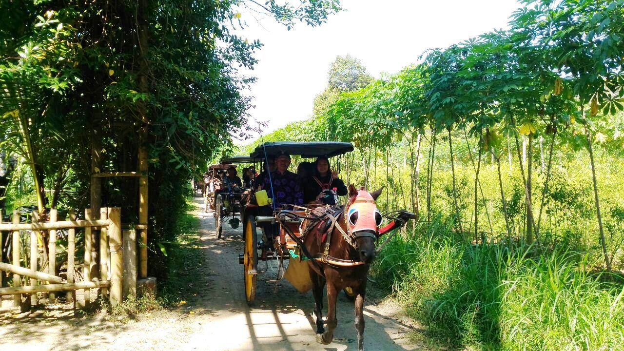 Dokar Village Tour