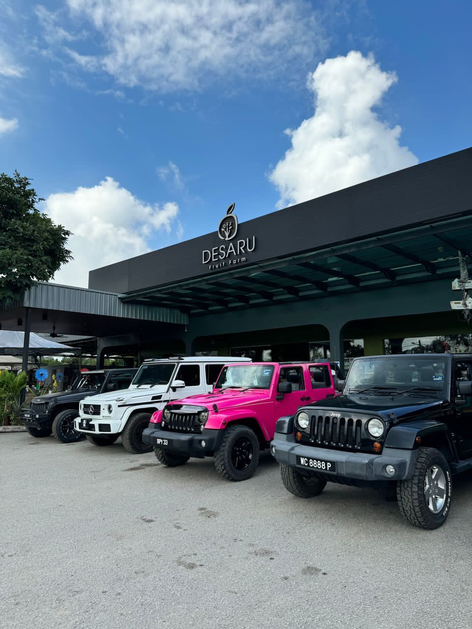 Desaru Fruit Farm  - G Wagon Riding Tour