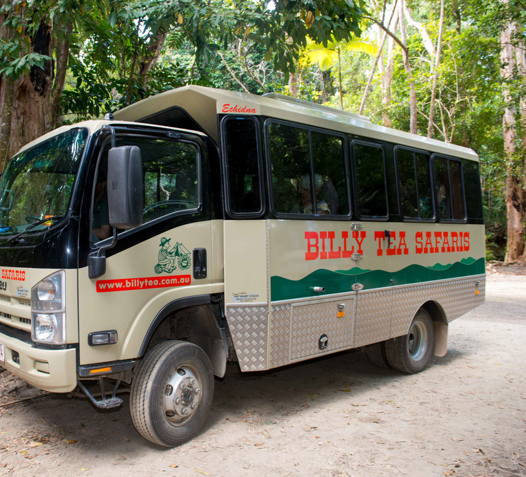 From Cairns: Daintree Rainforest & Cape Tribulation 4WD Tour
