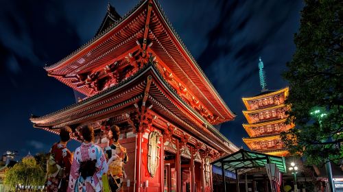 From Yokohama Port: Private 10-Hour Tokyo Charter Tour