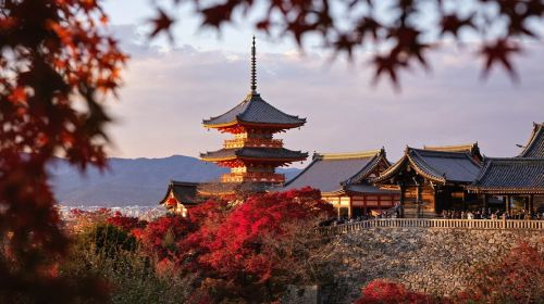 A day trip to Kyoto's ancient architecture, Nara Park with adorable deer, and Fushimi Inari Shrine