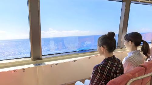 Izu Day Tour from Tokyo: Mount Omuro Ropeway & Shaboten Zoo with Ocean-View Train